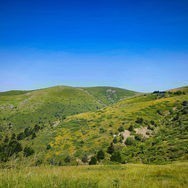 IMG 20230715 102258