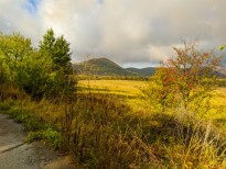 IMG 20201017 091828