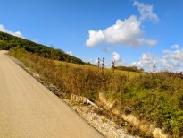 IMG 20201017 115954