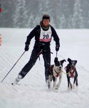 skijoring 02